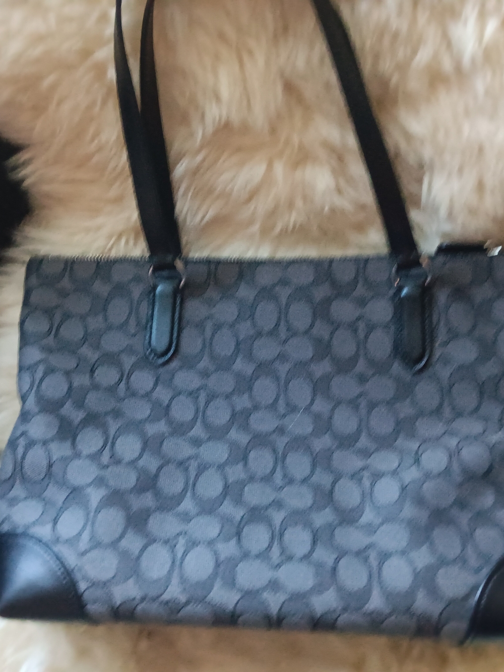 Coach Signature Canvas Tote Bag - Black/Gray - Picture 2 of 6